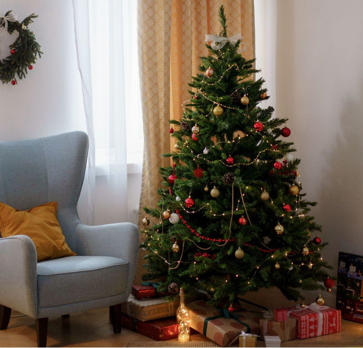 Celebrate Your Birthday Party with the King of Christmas and a 5-Foot Tree